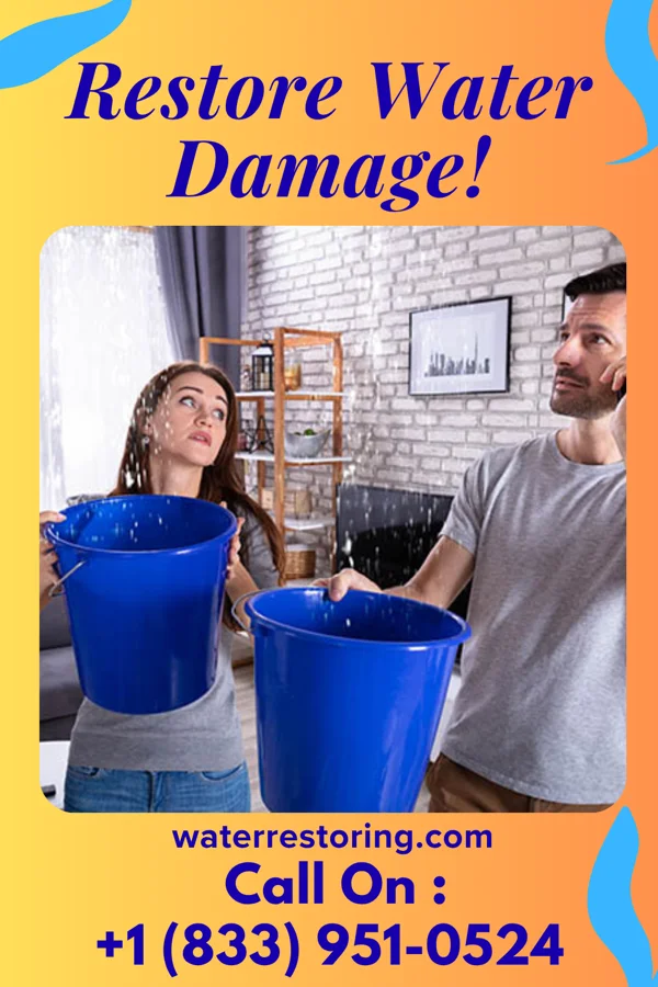 water restoration Rapid Mitigation Professionals South Miami