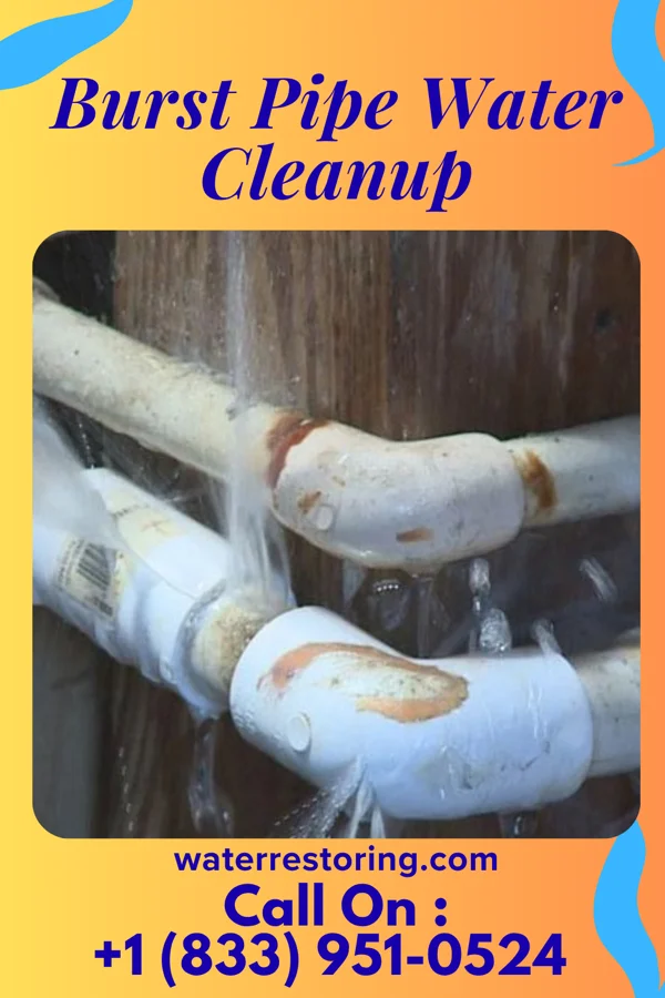 Burst Pipe Water Cleanup in South Miami, FL
