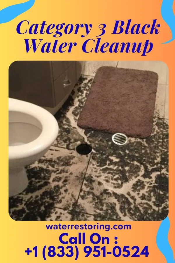 Category 3 Black Water Cleanup in South Miami, FL