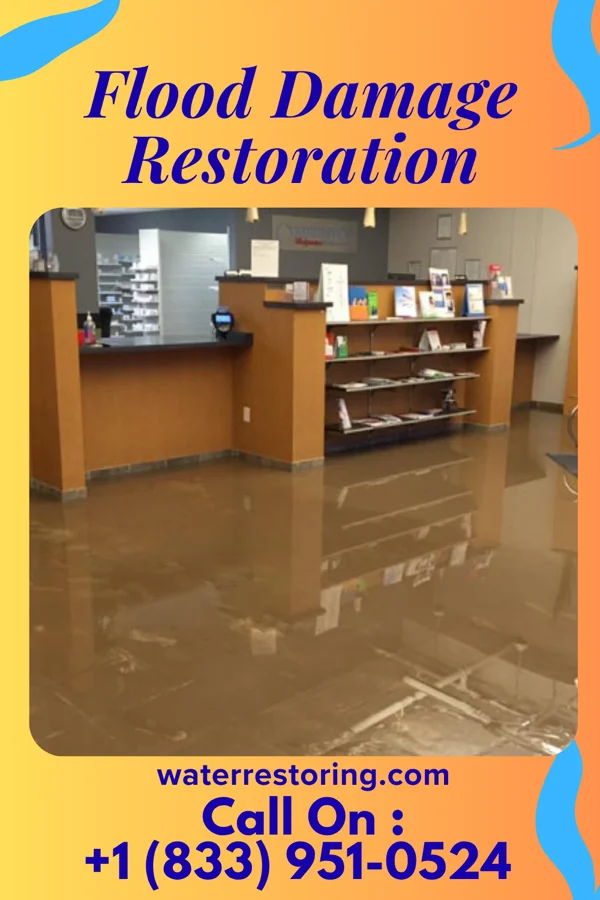 Flood Damage Restoration in South Miami, FL