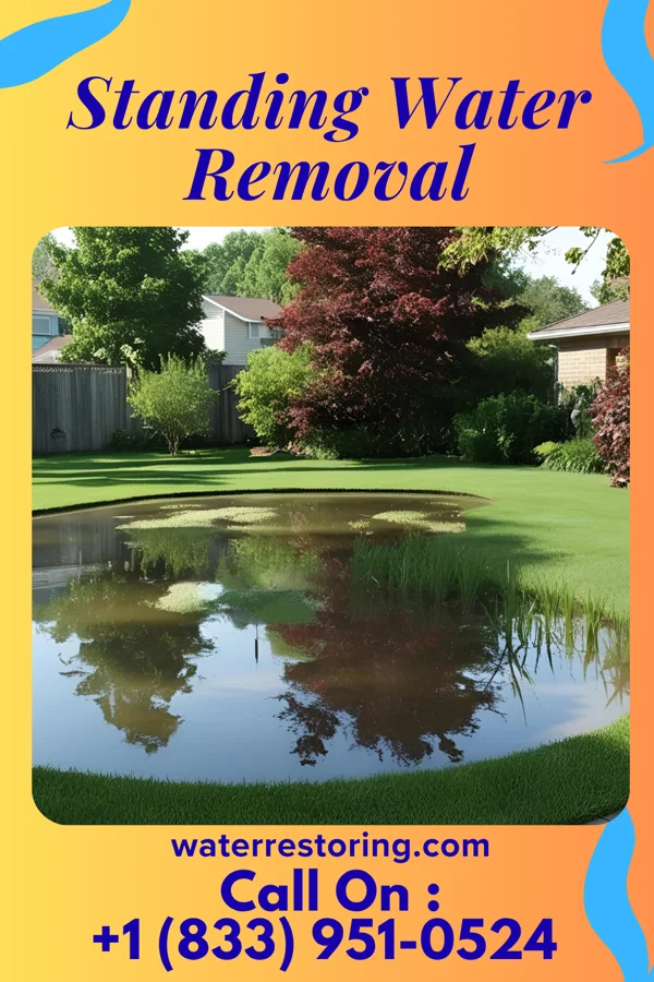 Standing Water Removal in South Miami, FL